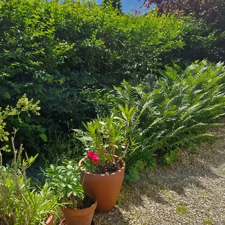 Bed & Breakfast Les Fougeres Sevrier